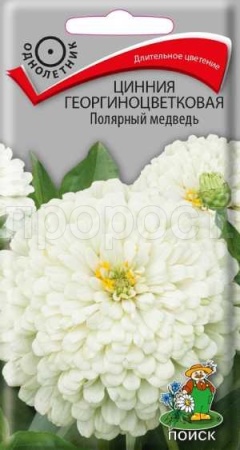 Цинния георгиноцветковая Полярный медведь 0,4г