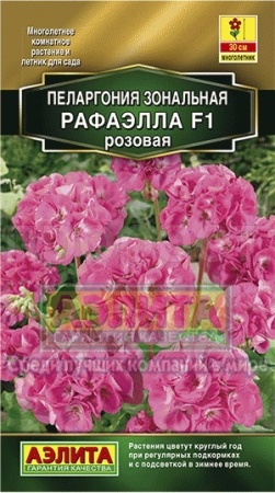 Пеларгония Рафаэлла F1 розовая 5шт 