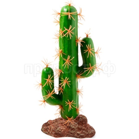 Растение Цереус Laguna 110*60*220мм/84044006 Растение Цереус Laguna 110*60*220мм/84044006