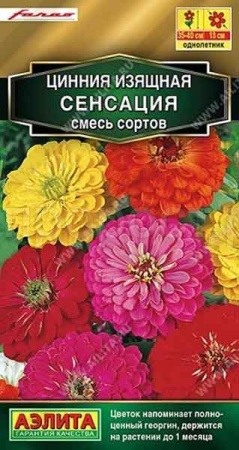 Цинния Сенсация, смесь сортов 12шт