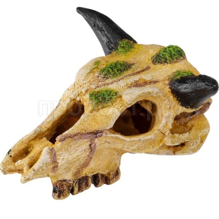 Грот AQUA DELLA Череп буйвола бежево-зелёный XS 12см (Бельгия) 236/463826 Грот AQUA DELLA Череп буйвола бежево-зелёный XS 12см (Бельгия) 236/463826