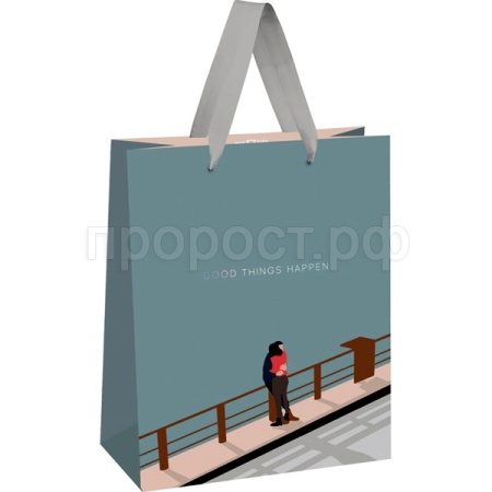 Пакет подарочный  26*32*12см "Любить-это беречь" отд. фольгой мат. ламинация MESHU/Рельеф Пакет подарочный  26*32*12см "Любить-это беречь" отд. фольгой мат. ламинация MESHU/Рельеф