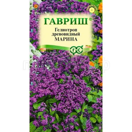 Гелиотроп древовидный Марина 0,03г