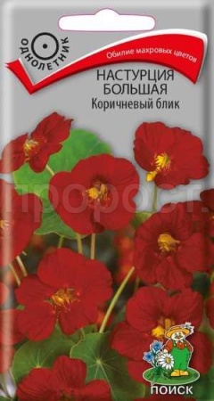 Настурция Коричневый блик большая 1г