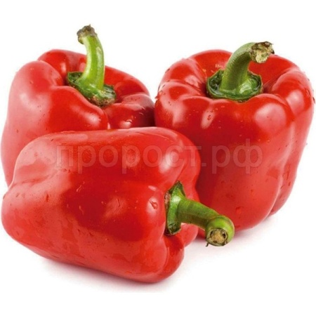 Перец сладкий Красный бок 5 гр