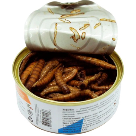 Консервированный корм для террариумных животных Зофобас 40гр Консервированный корм для террариумных животных Зофобас 40гр