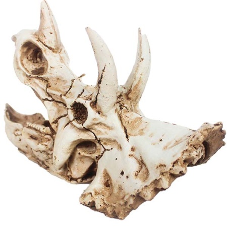 Грот Череп трицератопса Nomoy Pet 16х8х11см M/NMP-NS-114 Грот Череп трицератопса Nomoy Pet 16х8х11см M/NMP-NS-114