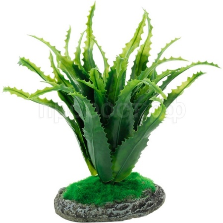 Растение Алоэ REP19002 200мм/84045032 Растение Алоэ REP19002 200мм/84045032