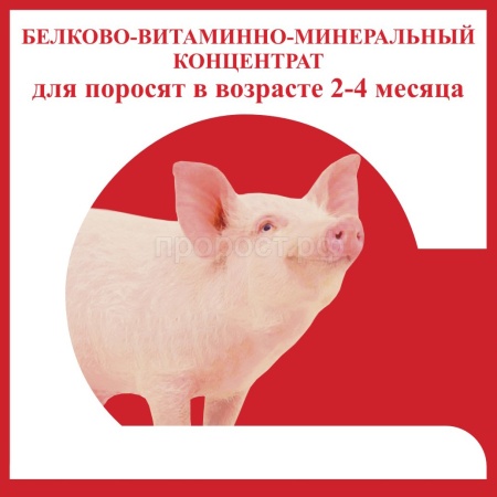 БВМК для поросят от 2-4 месяцев россыпь 25кг БВМК для поросят от 2-4 месяцев россыпь 25кг