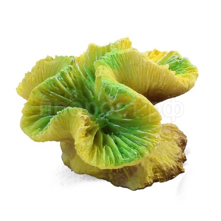 Грот Коралл искуственный Каталофиллия зеленая 70*65*40мм/74004105 Грот Коралл искуственный Каталофиллия зеленая 70*65*40мм/74004105